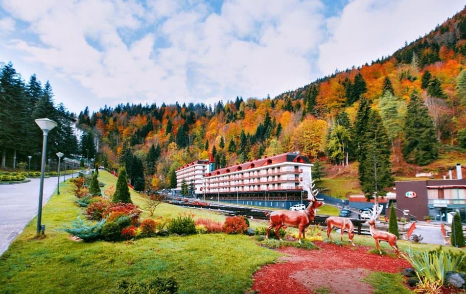 Sairme Hotels and Resorts (Саирме)